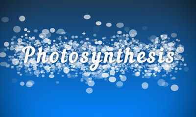 Photosynthesis - white text written on blue bokeh effect background
