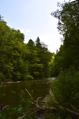 Fluss im Schwarzwald