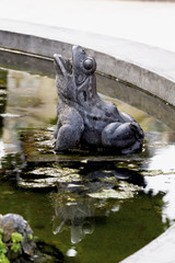 Fototapeta na wymiar Frog statue in a fountain with reflections in water