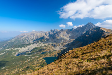Fototapeta premium Beautiful Mountain Landscape in the High Tatra (Zielona Dolina Gasienicowa)