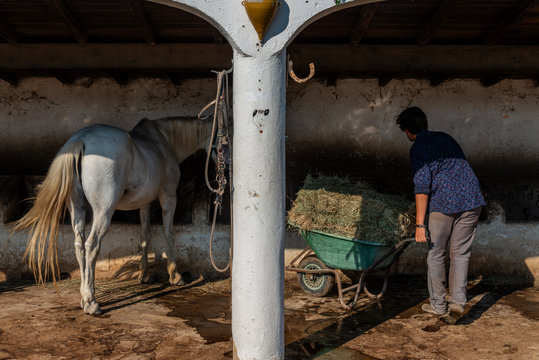 Stallknecht bei der Arbeit