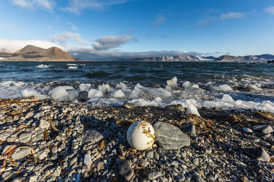 Plastic pollution on Arctic coast.