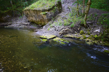 Fluss im Schwarzwald