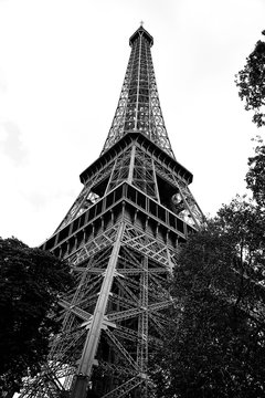 Fototapeta high eiffel tower in Paris France in Black and White