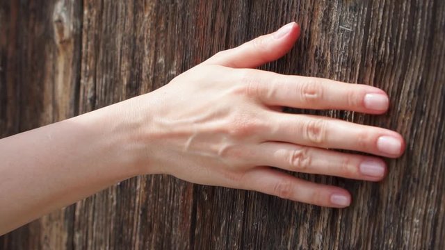 Woman sliding hand against old wooden door in slow motion. Female hand touching hard rough surface of wood on sunny summer day