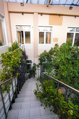 Fototapeta na wymiar View of an interior garden