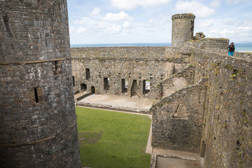 Fototapeta premium Festungsanlage - Ruine - Wales