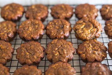 Gluten Free Banana Chocolate Almond Butter Muffins