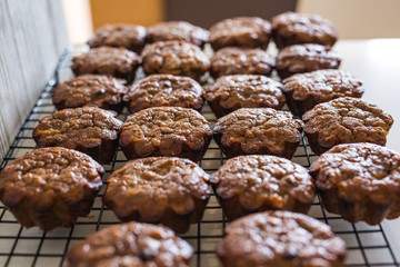 Gluten Free Banana Chocolate Almond Butter Muffins