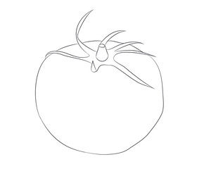 vegetables and fruits drawing lines, vector