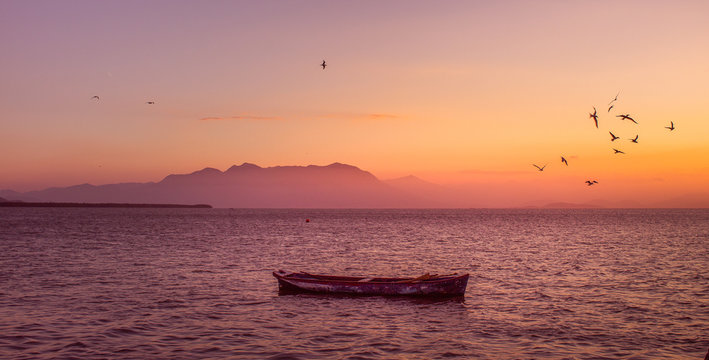 P&ocirc;r do sol com p&aacute;ssaros