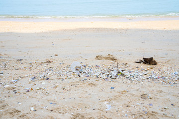 Trash on the Beach ,Beach pollution