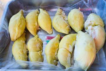 Fresh durian on the tree in the garden , Chanthaburi,Thailand .Durian King of fruits grow in tropical area