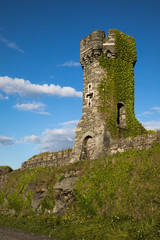 Mit Efeu &uuml;berwucherter Turm - Wales