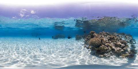 Clear reef in Australia