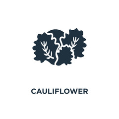Fototapeta na wymiar cauliflower icon