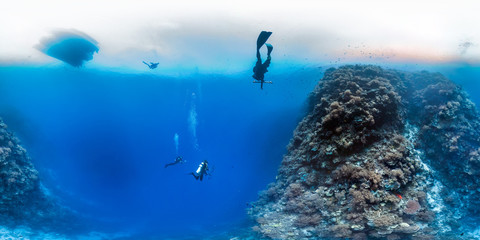 Scientists on coral reef