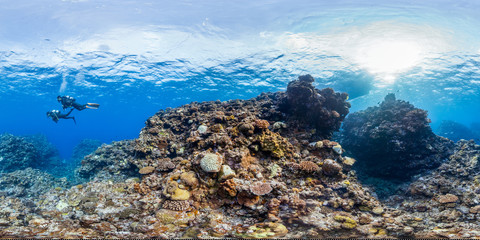 Divers over healthy coral in GBR