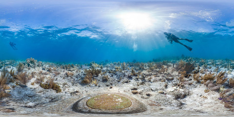 Diver in molasses reef, Florida - obrazy, fototapety, plakaty