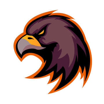 Eagle head icon vector. Eagle head with dark orange border isolated on white background. Animal bird symbol of power and speed.