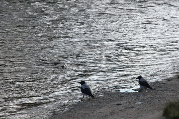 riverside