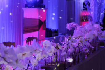 Wedding table flower decoration. Orchid bouquet. Restaurant ,Glamorous Event, celebration