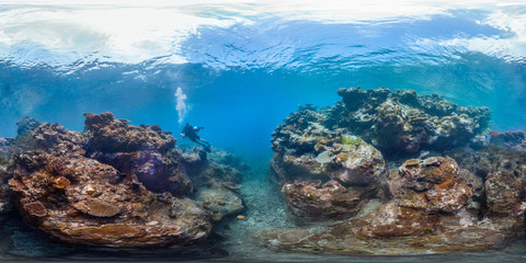 Fototapeta na wymiar Diver in American Samoa
