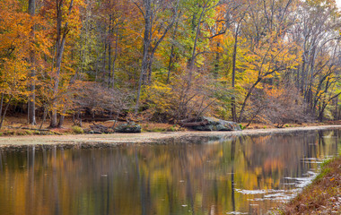 Fall Colors C&O Canal Washington