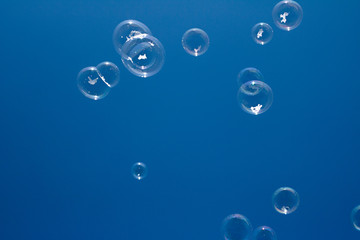 Burbujas de jabon flotando