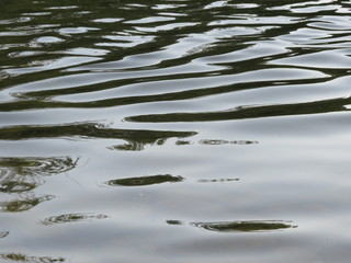 Agua, Rio, Onda de Agua