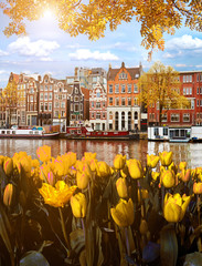 Beautiful Magic Autumn Landscape in Amsterdam, Holland with tulips. amazing places. popular tourist atraction