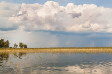 Island on lake Svitiaz (Svitiaz, Shatsky National Natural Park, Ukraine)
