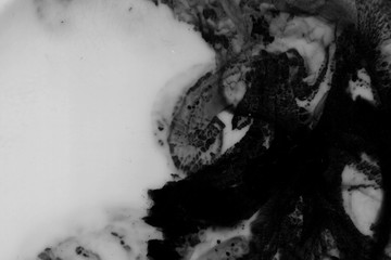 Abstract ink background. Marble style. Black paint stroke texture on white paper. Grunge mud art. Macro image of pen juice. Dark Smear.