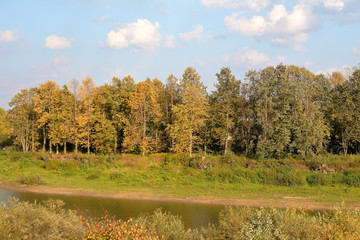 Autumn trees on the bank of the Vologda river