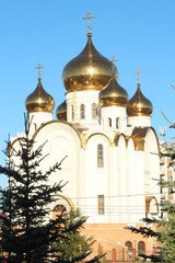 Orthodox church