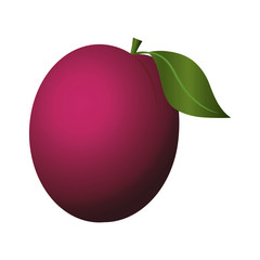 cherry fruit berry natural food