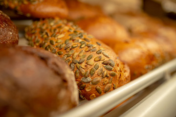 Kürbiskernbrot