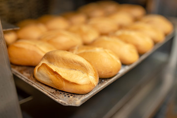 frische Brötchen aus dem Backofen