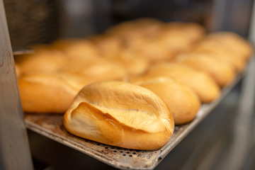 frische Brötchen aus dem Ofen