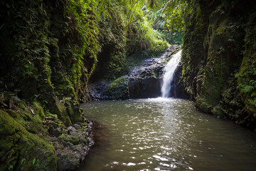 Fototapeta na wymiar Maunawili Falls, Oahu, Hawaii