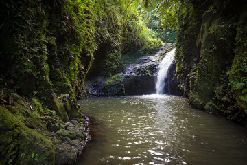 Maunawili Falls, Oahu, Hawaii