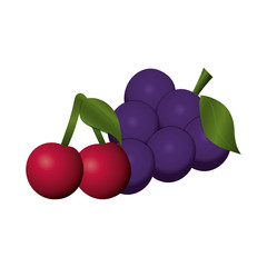fruits cherries and bunch grapes