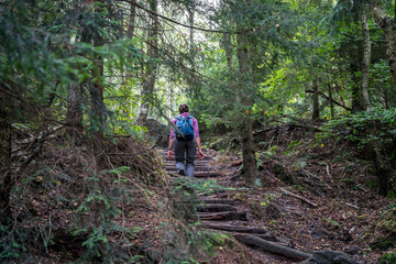 Fototapeta premium Hübsche Frau beim Wandern in einem Wald
