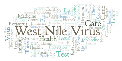 West Nile Virus word cloud, made with text only.