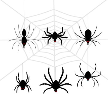 Scary black halloween spider set