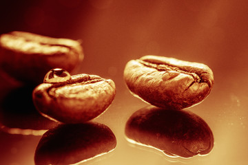 shiny fresh roasted coffee macro beans on glass background