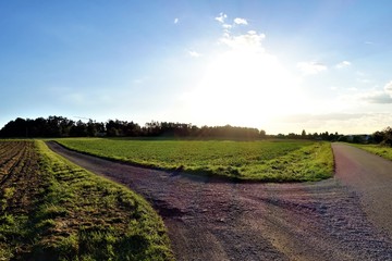 Landwirtschaft - Felder