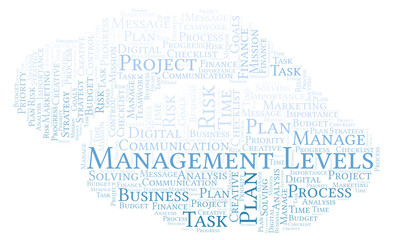 Fototapeta na wymiar Management Levels word cloud, made with text only.