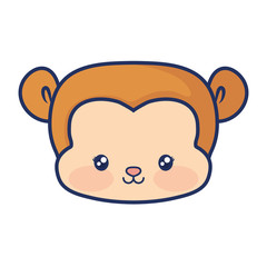 cute monkey animal baby