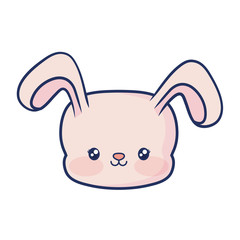 cute rabbit animal baby
